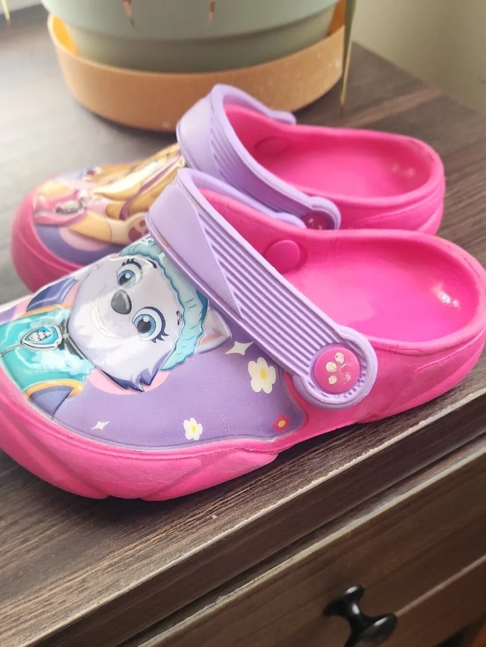 Paw Patrol Pink & Purple Kids Clogs - Skye & Everest